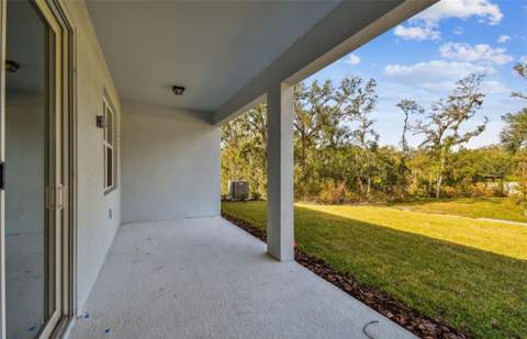 5241 Wolf Creek Drive, Apollo Beach FL - photo 23 of 33