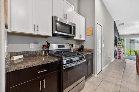 9324 Lemon Drop Loop, Sun City Center FL - photo 8 of 32