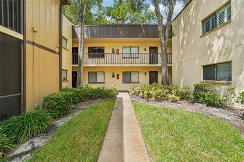 11722 Raintree Lake Lane #C, starter home for sale in Temple Terrace