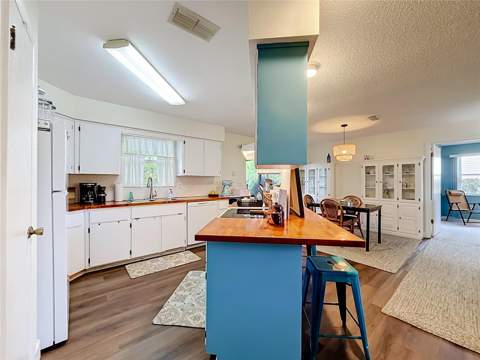 1038 Scotch Pine Court, Leesburg FL - photo 10 of 39
