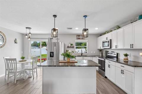 12020 Virginia Drive, Leesburg FL - photo 12 of 35