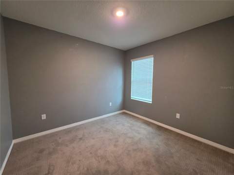 17007 Blister Wing Drive, Wimauma FL - photo 14 of 14
