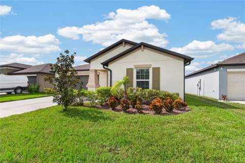 5487 Blue Azure Drive, Wimauma FL - photo 6 of 6