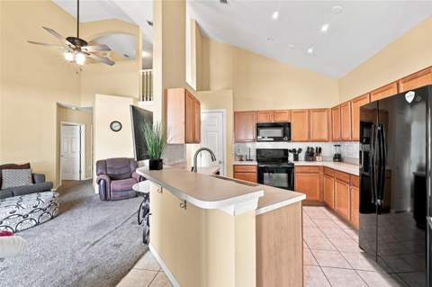 2915 Blooming Alamanda Loop, Kissimmee FL - photo 8 of 31