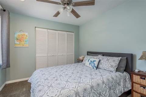 10429 La Mirage Court, Tampa FL - photo 21 of 44