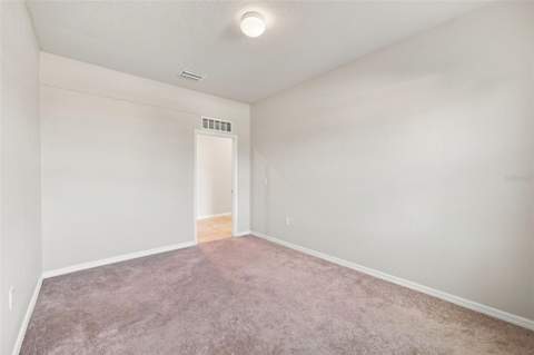 18359 Cortes Creek Boulevard, Spring Hill FL - photo 24 of 59