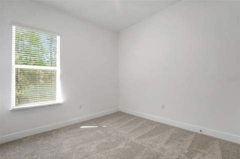 14371 Crest Palm Avenue, Windermere FL - photo 19 of 42