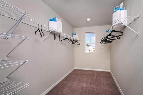15201 Maude Landing Loop, Wimauma FL - photo 6 of 6