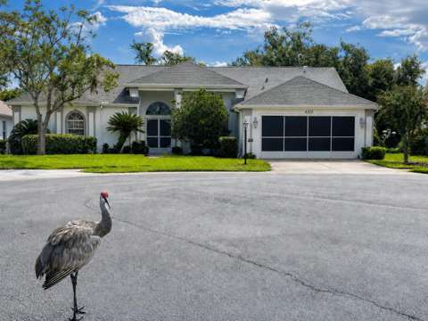 6513 Cardinal Crest Drive, home for sale on Cardinal Crest Drive