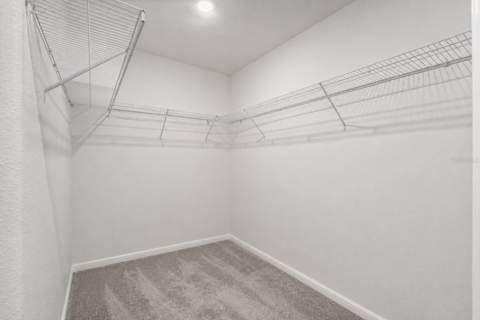 3703 Globe Thistle Drive, Tampa FL - photo 15 of 37