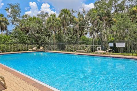 4864 Tuscan Loon Drive, Tampa FL - photo 21 of 25