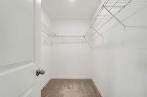 7421 French Marigold Avenue, Tampa FL - photo 23 of 26