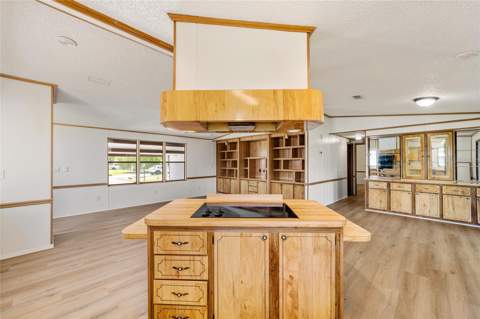 1004 Ann Avenue, Lady Lake FL - photo 20 of 47
