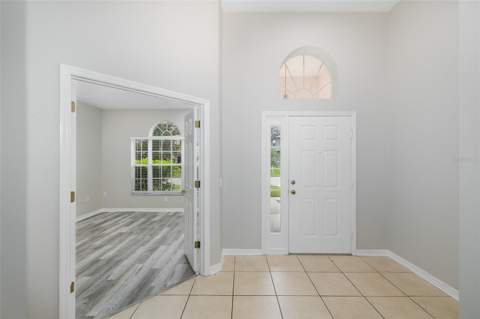 5815 Justicia Loop, Land O Lakes FL - photo 9 of 56