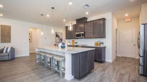 31530 Wild Grape Lane, Brooksville FL - photo 6 of 19