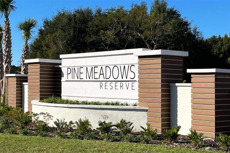 4 bedroom Single Family Residence at 2094 Town Pasture Drive, Pine Meadows Reserve Phase 1A, Eustis — photo 3