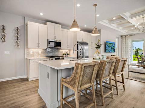 419 Verona Way, Lady Lake FL - photo 6 of 26