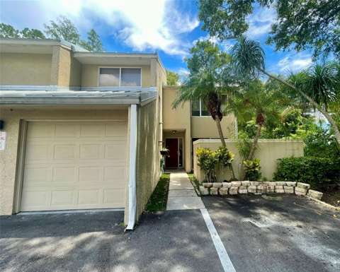 13001 Arborview Place, home for sale in Tampa 33618