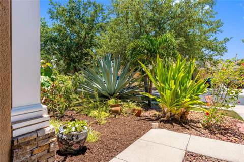 5335 Clover Mist Drive, Apollo Beach FL - photo 7 of 44