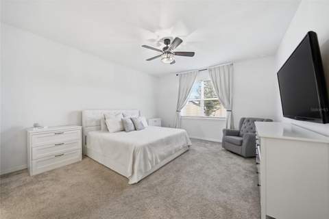 3834 Maple Bay Lane, Land O Lakes FL - photo 18 of 57
