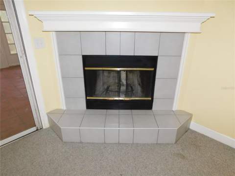 1720 Arabian Lane, Palm Harbor FL - photo 17 of 50