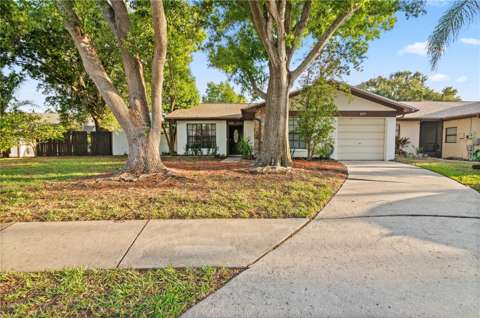 2031 Dover Court, home for sale in Oldsmar 34677
