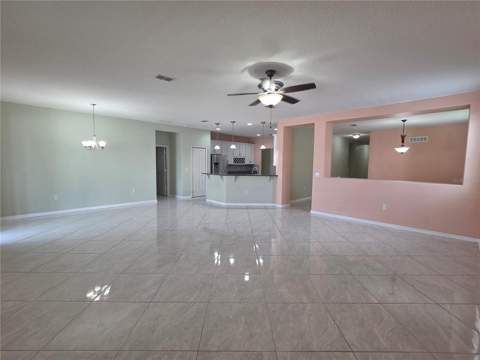 11114 Hartford Fern Drive, Riverview FL - photo 6 of 6