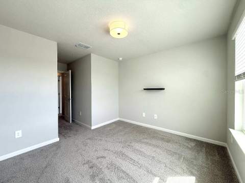 4166 Cloud Hopper Way, Lutz FL - photo 19 of 23