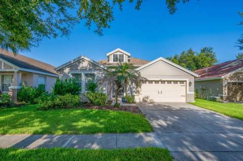 6105 Gannetside Place, Lithia FL - photo 24 of 32
