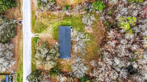 6126 Tulip Drive, Wesley Chapel FL - photo 13 of 13