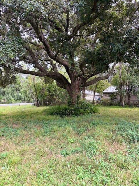 3 bedroom Single Family Residence at 21103 Reindeer Road, Christmas Estates, Christmas — photo 3