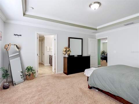1553 Caterpillar Street, St Cloud FL - photo 17 of 35