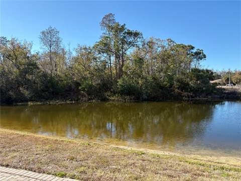 103 Cutlass Way, Oldsmar FL - photo 6 of 20