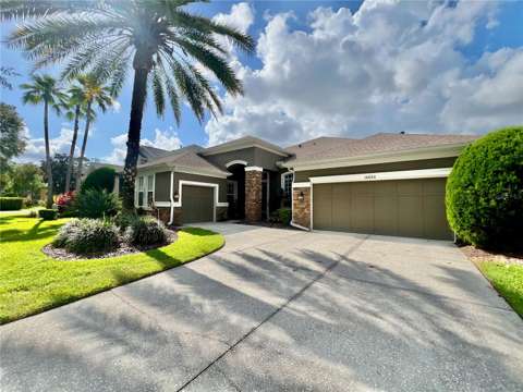 14824 Tudor Chase Drive, home for sale in Tampa 33626