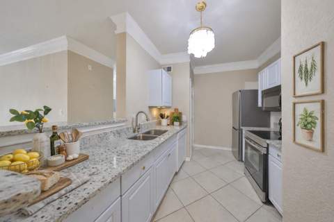 4323 Bayside Village Drive #219, Tampa FL - photo 6 of 6