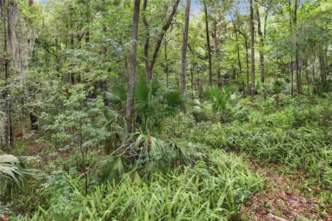 1732 NW 8th Avenue, Gainesville FL - photo 23 of 65