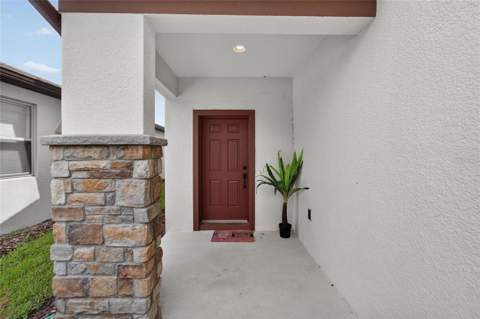 9128 Grant Line Lane, Riverview FL - photo 8 of 93