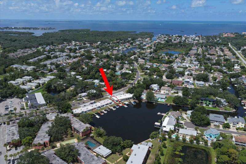 1 bedroom Condominium at 599 Westwinds Drive #9, Baywood On The Gulf 1 Condo, Palm Harbor — photo 3