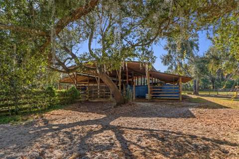 27910 Debbie Road, Okahumpka FL - photo 6 of 6