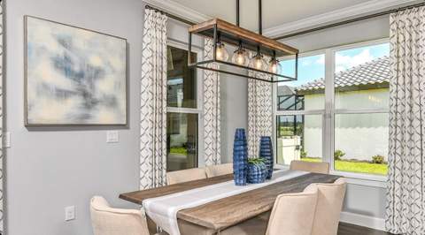 3946 Masaniello Way, Wesley Chapel FL - photo 8 of 27