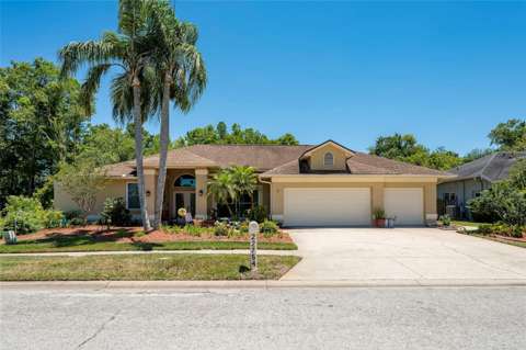 22754 Magnolia Trace Boulevard, home for sale in Lutz 33549