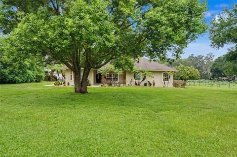 4618 Reola Road, home for sale in Dover 33527