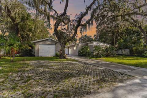 414 Joyce Avenue, home for sale in Temple Terrace 33617