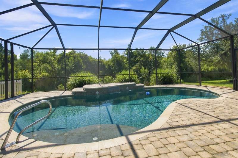 4 bedroom Single Family Residence at 20233 Merry Oak Avenue, Live Oak Preserve Ph 2A-Villag, Tampa — photo 2