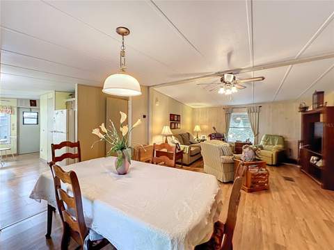 13508 Palm Drive, Astatula FL - photo 8 of 31