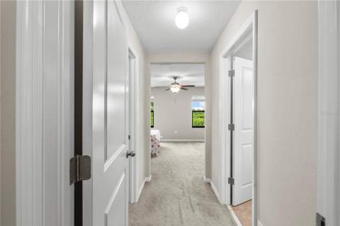 7667 Ginger Lily Court, Tampa FL - photo 22 of 62