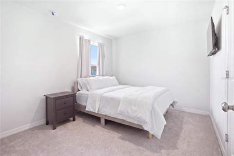 15038 Windflower Alley, Winter Garden FL - photo 19 of 29