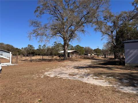 7647 Shannon Lane, Zephyrhills FL - photo 15 of 34