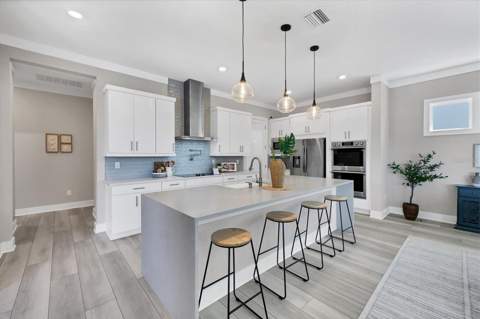 10391 Torchwood Sea Way, San Antonio FL - photo 9 of 45