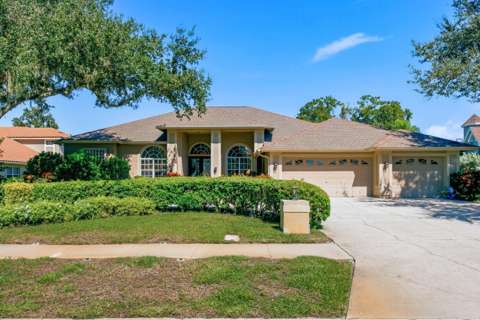 3763 Executive Drive, home for sale in Palm Harbor 34685